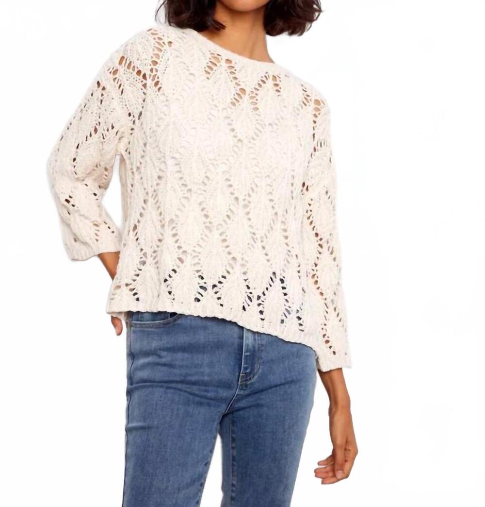 NEW CHARLIE B crochet crew neck sweater in natural